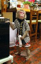 Monkey lures drinkers to pub in Utsunomiya
