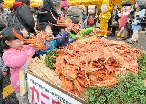 Children hold crabs at festival in Tottori Pref.