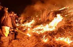 Wakakusa mount-burning event in Nara