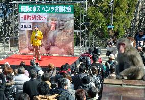 800 gather at memorial service for boss monkey in Oita