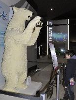Polar bear statute made of white chocolate displayed