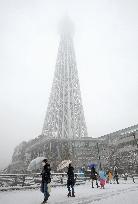 Heavy snow falls over Tokyo Skytree