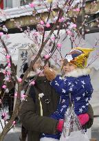 Candy festival held in Odate, Akita