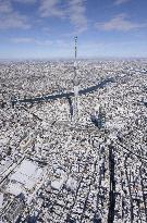 Aerial view of snowy Tokyo