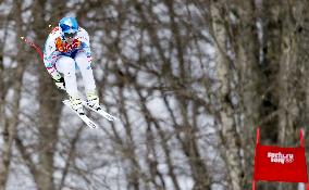 Austria's Mayer wins gold in men's downhill