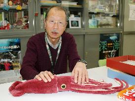 Giant squids successively caught along Japan Sea coast