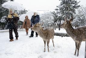 Snowing across Japan