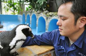 Penguin said to be courting keeper