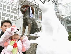 Heavy snow continues to fall in eastern Japan