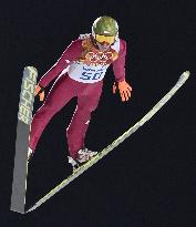 Poland's Stoch wins men's ski jumping large hill