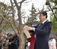Fukushima school head hangs nameplate on plum tree at shrine