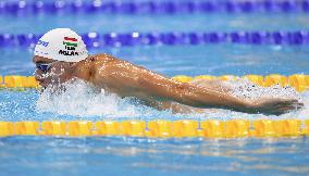 Swimming: World championships in Budapest