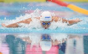 Swimming: World championships in Budapest