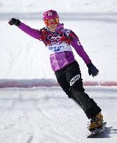 Japan's Takeuchi wins silver in women's snowboard giant slalom