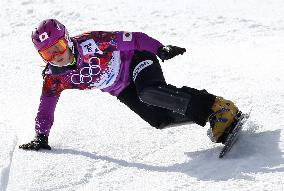 Takeuchi wins silver in women's parallel giant slalom snowboard