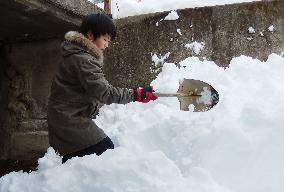 Snow shoveling volunteers