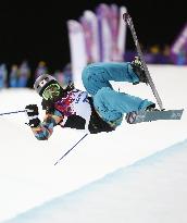 Japan's Mitsuboshi fails in women's ski halfpipe