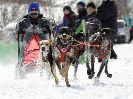 Japan Cup dogsled race takes place in Hokkaido