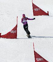 Japan's Takeuchi off balance in women's snowboard slalom