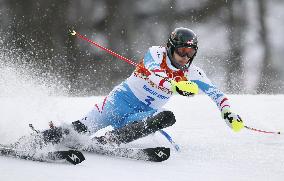 Austria's Matt takes lead in 1st run of men's skiing slalom