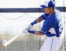 Royals' Aoki practices batting at Arizona camp