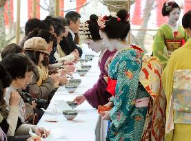 Plum blossom festival at Kyoto shrine