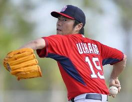Red Sox's Uehara trains in spring camp