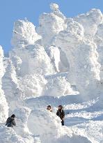 Tourists enjoy snow-coated trees at Zao, Yamagata Pref.