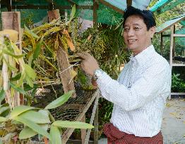 Chief of Yangon orchid preservation center meets reporters