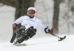 Japan's Paralympian Kano wins men's super-G sitting ski gold