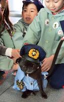 Gifu police PR dog's last duty