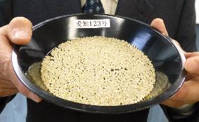 New rice variety developed in central Japan