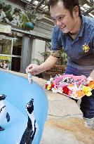 Penguin in Matsue gets 'White Day' treat
