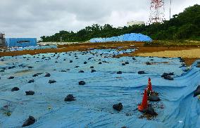 U.S. base in Okinawa raises environmental concerns