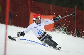 Japan's Suzuki wins men's sitting slalom at Paralympics