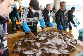 Fish haul in trial fishing off Fukushima Pref.