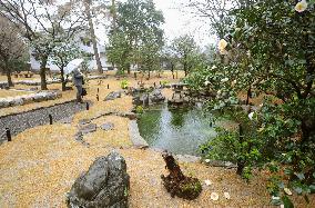 Restored garden of Kaninnomiya mansion site in Kyoto