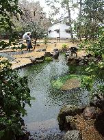 Restored garden of Kaninnomiya mansion site in Kyoto