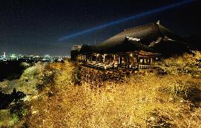 Kiyomizu temple lit up