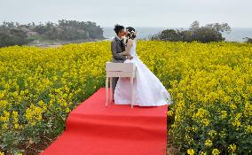 Couple hold wedding in flower field in Oita Pref.