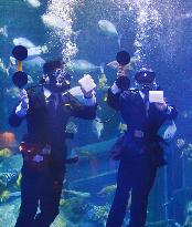 New aquarium recruits start by cleaning fish tank from inside