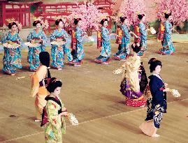 Geisha perform final rehearsal for Kyoto dance fest