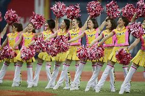 Hanshin cheerleaders