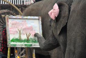 Elephant draws cherry blossoms at Japanese zoo
