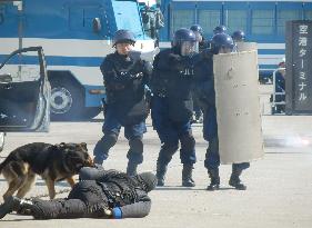 Security drill in Tokyo