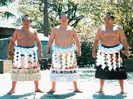 Yokozuna wrestlers