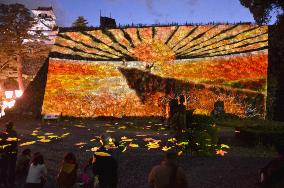 Paper cutouts image projected on Kochi Castle stone wall