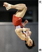 Japan gymnast Uchimura in air at Tokyo World Cup