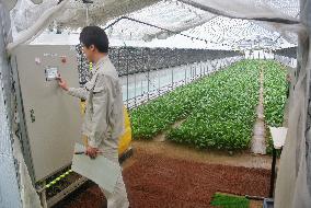 Panasonic displays computer-controlled plastic greenhouse