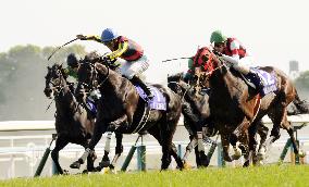 Tenno-sho horse racing